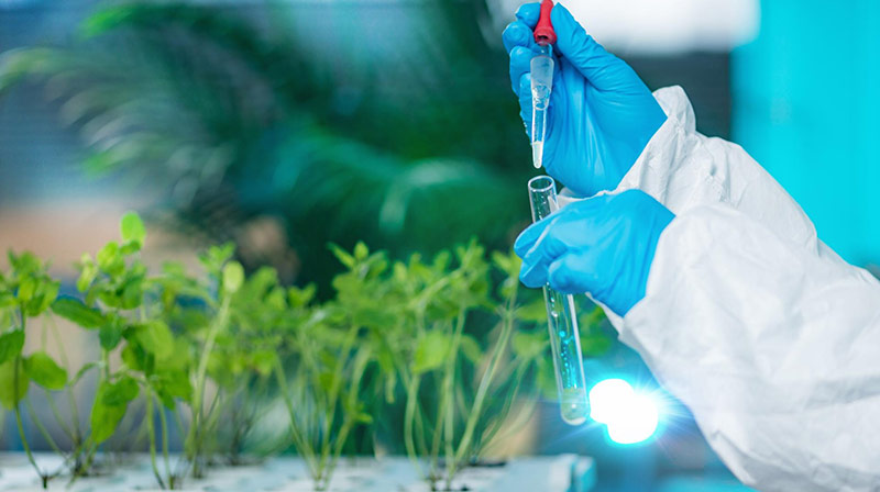 Person Working in Office Setup Person Working in Office Setup